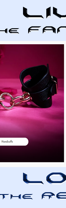 LIVELOVE_Ann Summers website