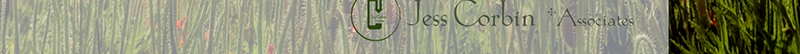 FALLENROSETHEONE WEBSITE